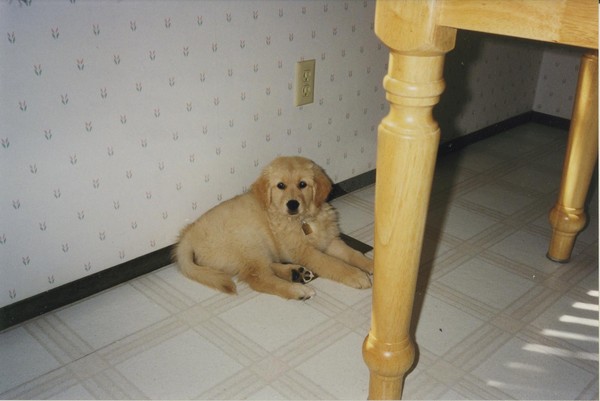 new_1998_06-kelly_small_1.jpg
