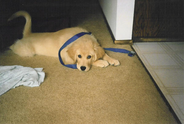 new_1998_08-kelly6.jpg