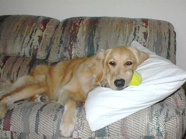 new_2000_03-kelly_with_ball.jpg