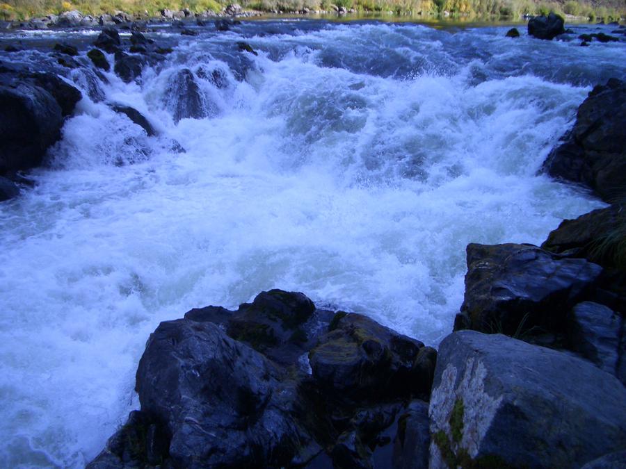 new_3039498421_8255d91a53_o.jpg
