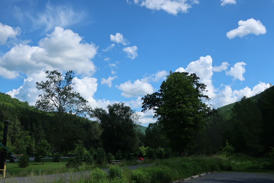 new_IMG_0060.JPG