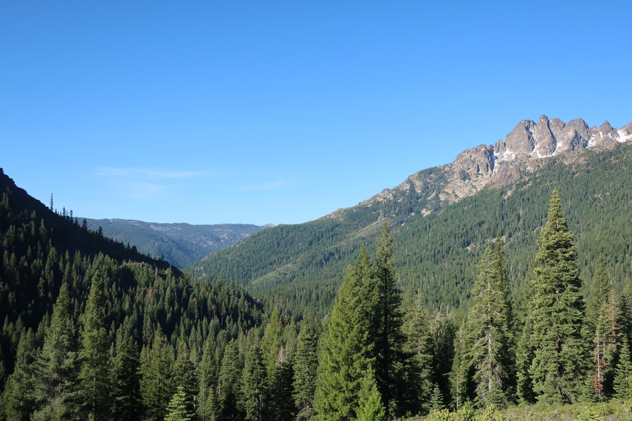 new_IMG_1095.JPG