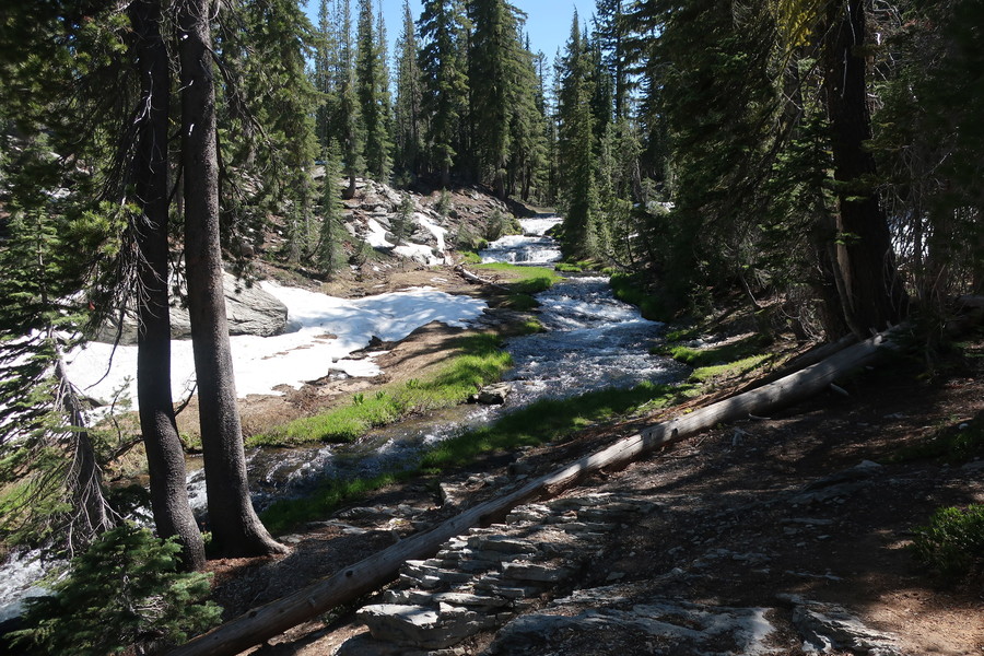 new_IMG_1138.JPG