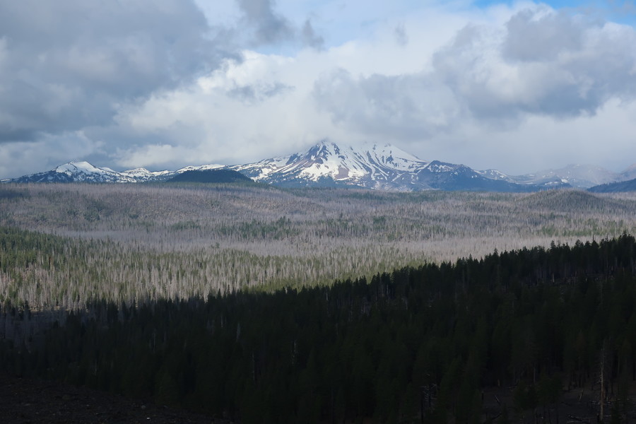 new_IMG_1155.JPG