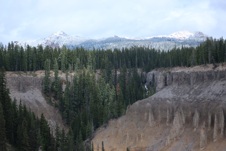 new_IMG_1232.JPG