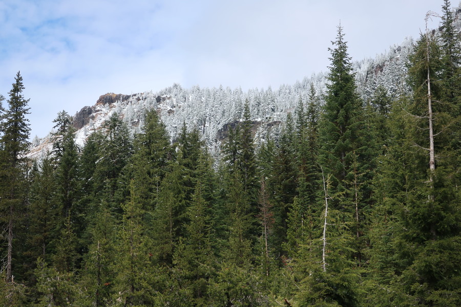 new_IMG_1235.JPG