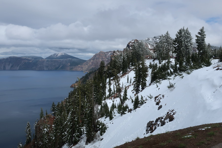 new_IMG_1242.JPG