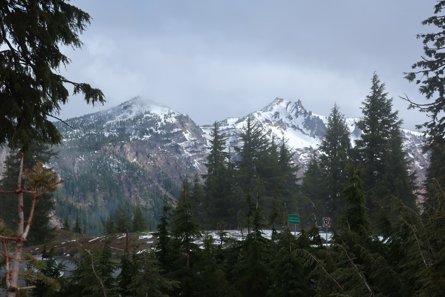 new_IMG_1260.JPG