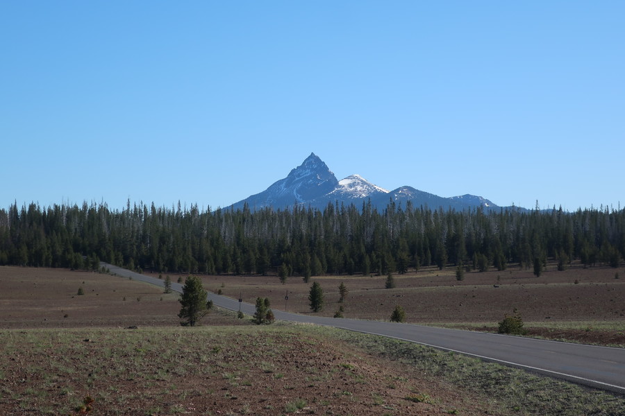 new_IMG_1305.JPG