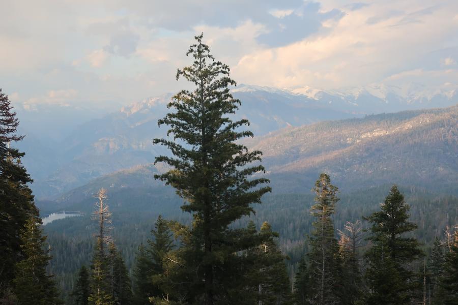 new_IMG_1876.JPG