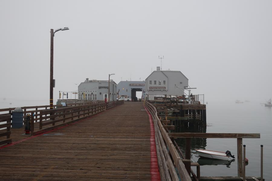 new_IMG_2742.JPG